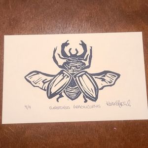 🌻 eupatorus gracilicornis 4/4 • handmade linocut print